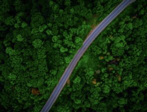 Campaign of the Day: For the Greener Good