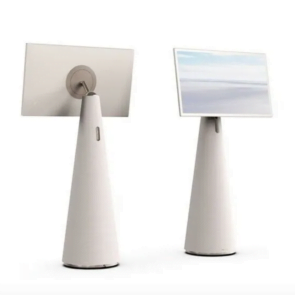 Trending Now: Suspended Removable Display TVs
