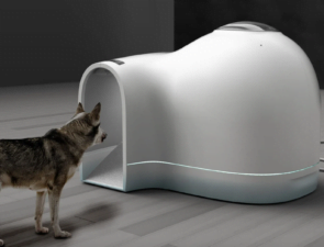 Trending Now: Cooling Igloo-Shaped Dog Houses