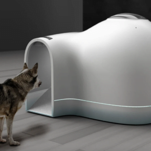 Trending Now: Cooling Igloo-Shaped Dog Houses