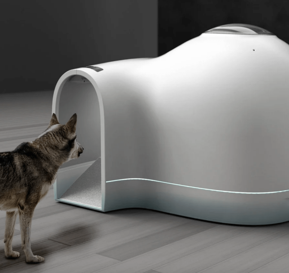 Trending Now: Cooling Igloo-Shaped Dog Houses