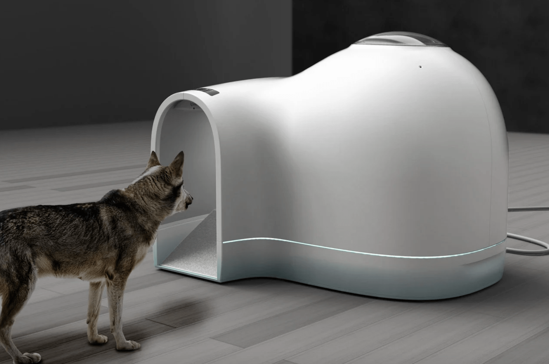 Trending Now: Cooling Igloo-Shaped Dog Houses