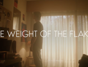 Campaign of the Day: Weight of the Flake