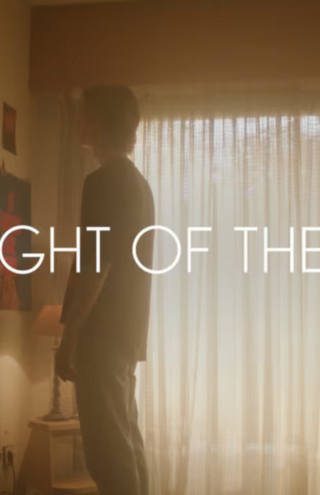 Campaign of the Day: Weight of the Flake