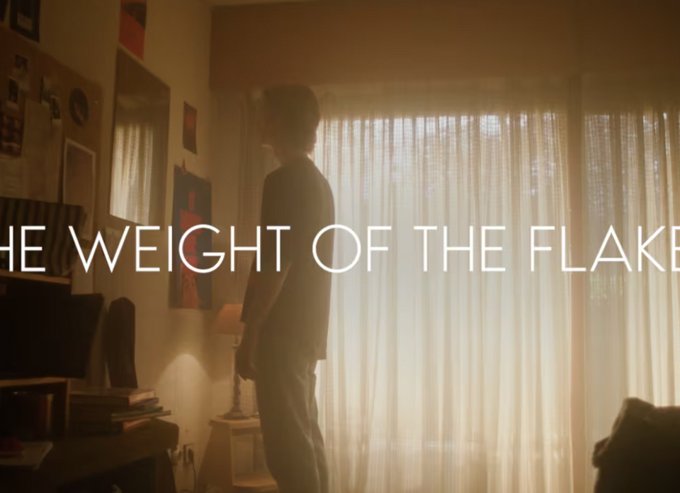 Campaign of the Day: Weight of the Flake