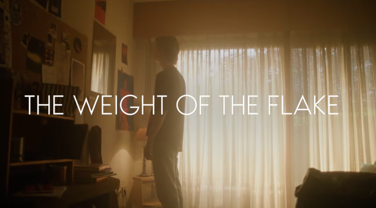 Campaign of the Day: Weight of the Flake