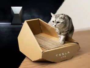 Trending Now: Angular Multi-Functional Cat Accessories