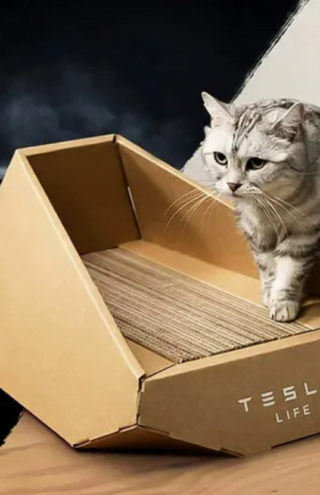 Trending Now: Angular Multi-Functional Cat Accessories
