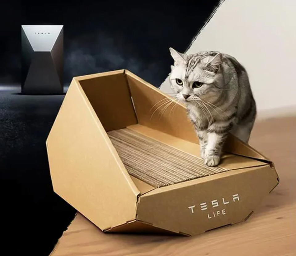 Trending Now: Angular Multi-Functional Cat Accessories