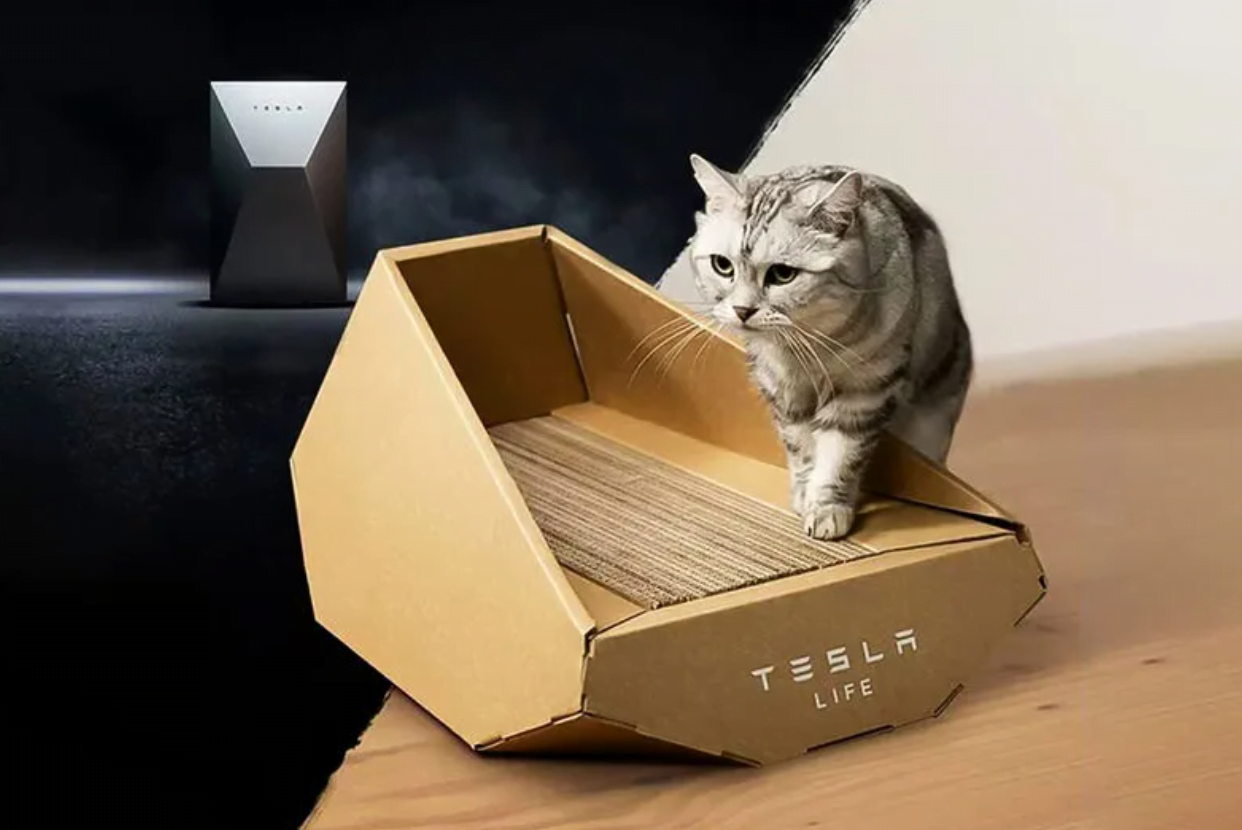 Trending Now: Angular Multi-Functional Cat Accessories