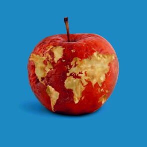Food Waste: 191 κιλά τροφίμων πετάει στα σκουπίδια κάθε χρόνο ο μέσος Έλληνας- Πάνω από 1400€ το κόστος