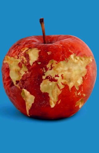Food Waste: 191 κιλά τροφίμων πετάει στα σκουπίδια κάθε χρόνο ο μέσος Έλληνας- Πάνω από 1400€ το κόστος