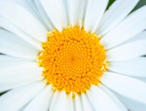 Wellbeing στο χώρο εργασίας: γιατί τόσο μεγάλο ενδιαφέρον;