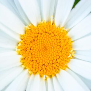 Wellbeing στο χώρο εργασίας: γιατί τόσο μεγάλο ενδιαφέρον;
