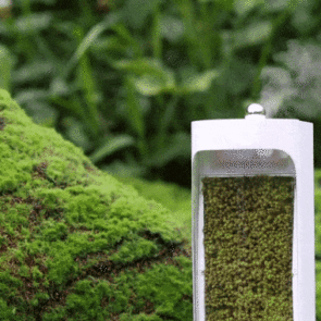 Trending Now: Innovation in Air Purification