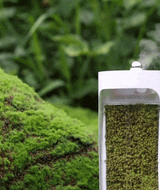Trending Now: Innovation in Air Purification