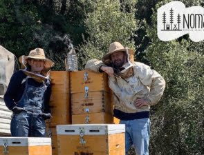 Nomad Honey: Δύο πρώην μηχανικοί που έγιναν μελισσοκόμοι
