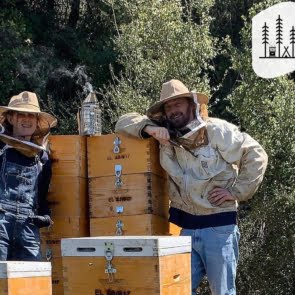 Nomad Honey: Δύο πρώην μηχανικοί που έγιναν μελισσοκόμοι