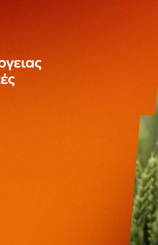 ΔΕΗ: Αγροτικά προϊόντα «ΓΑΙΑ» από 0,093€/KWh σταθερή τιμή για 2 χρόνια