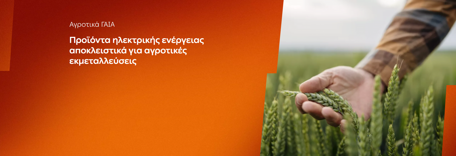 ΔΕΗ: Αγροτικά προϊόντα «ΓΑΙΑ» από 0,093€/KWh σταθερή τιμή για 2 χρόνια