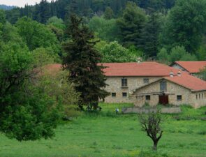 Πώς μεταμορφώνονται τα πρώην βασιλικά κτήματα του Τατοίου