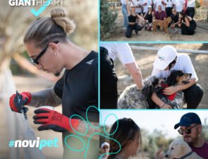 Το Giant Heart της Novibet στηρίζει το έργο του Athens Happy House για την προστασία αδέσποτων ζώων