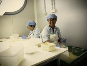 Η Mediterra και το «χρυσό όπλο» της μαστίχας Χίου