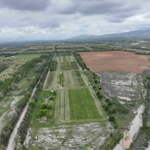 ΔΕΗ: Ιδρυτικό μέλος στην διεθνή πρωτοβουλία «Συμμαχία  για τη Βιώσιμη Διαχείριση της Βιοποικιλότητας»