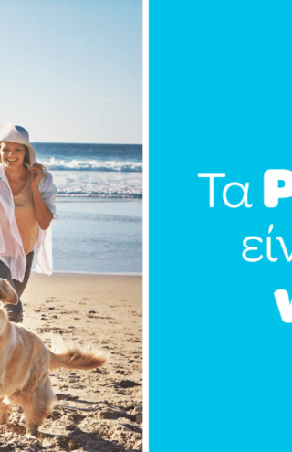 Η Wolt προχωρά σε συνεργασία με τα Pet City!