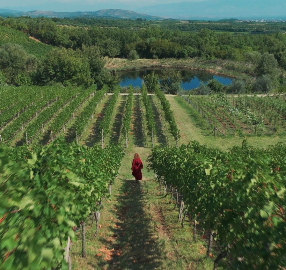 «Οίνος»: Η νέα συμπαραγωγή ντοκιμαντέρ της COSMOTE TV για την οινική κληρονομιά της Ελλάδας