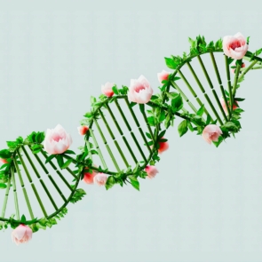 Τεστ γενετικής κληρονομίας DNA: μια όχι και τόσο απλή ιστορία