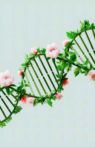 Τεστ γενετικής κληρονομίας DNA: μια όχι και τόσο απλή ιστορία