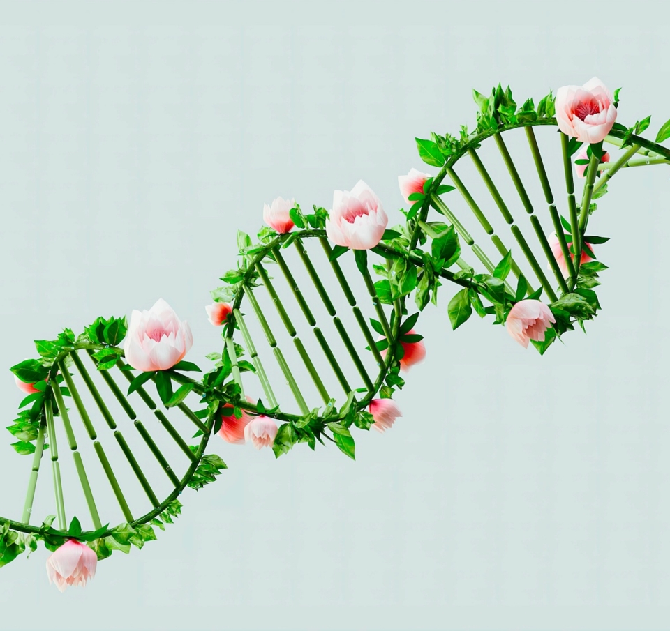 Τεστ γενετικής κληρονομίας DNA: μια όχι και τόσο απλή ιστορία