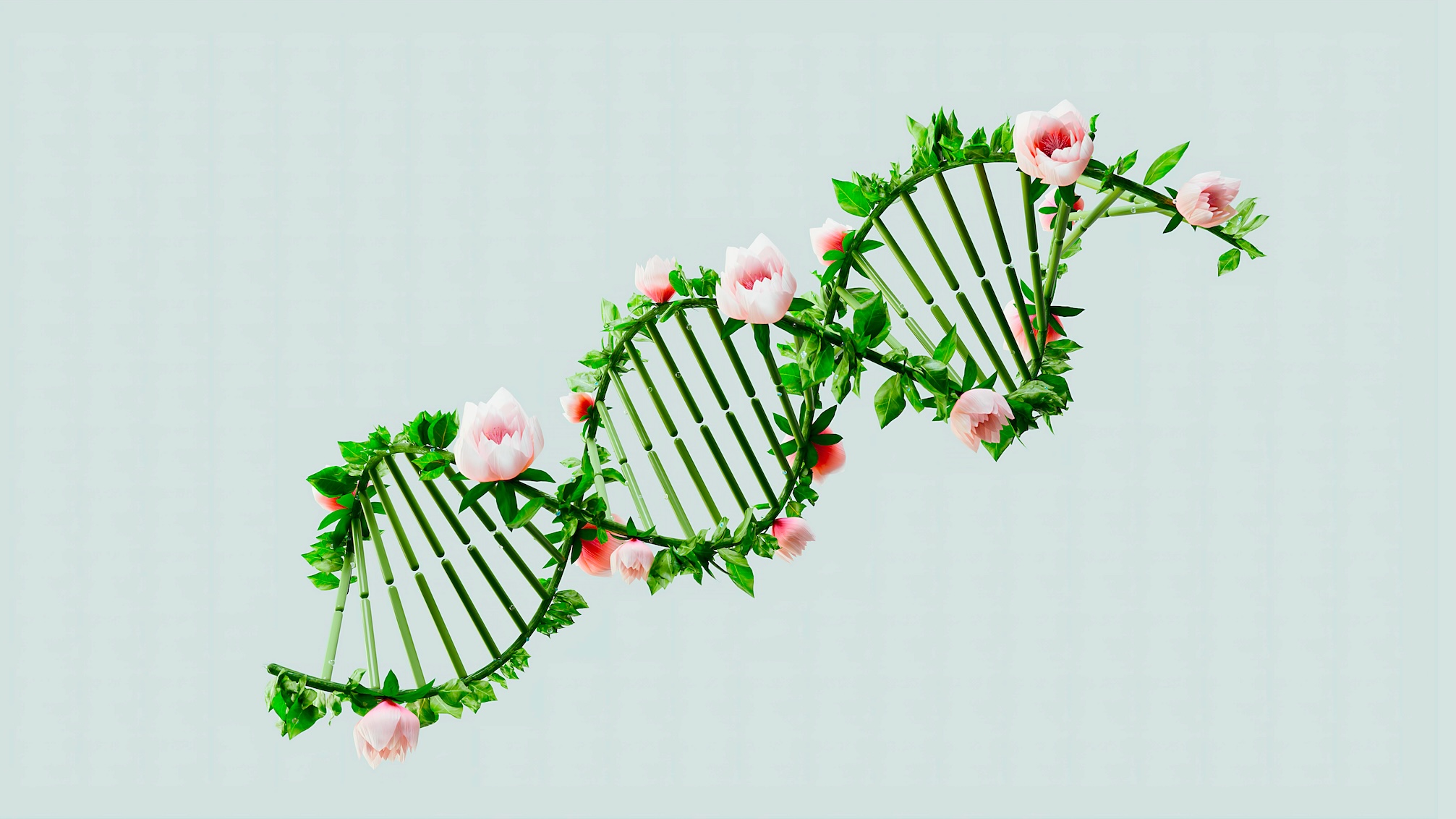 Τεστ γενετικής κληρονομίας DNA: μια όχι και τόσο απλή ιστορία