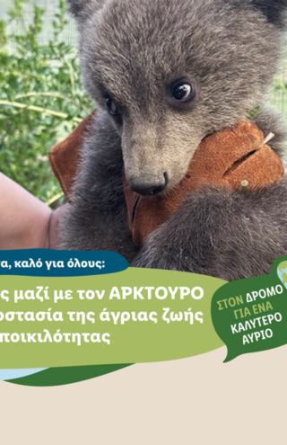 Η Lidl Ελλάς μαζί με τον ΑΡΚΤΟΥΡΟ για την προστασία της άγριας ζωής και της βιοποικιλότητας