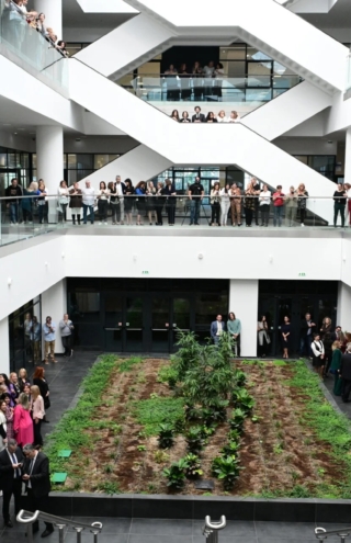 Premia Properties: Ποια είναι η εταιρεία που μίσθωσε το περίφημο κτήριο της ΑΑΔΕ;
