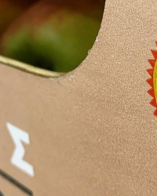 Δύο αδέλφια από την Τρίπολη ανέδειξαν το ΠΟΠ μήλο Πιλαφά