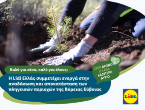 Η Lidl Ελλάς συμμετέχει ενεργά στην αναδάσωση και αποκατάσταση των πληγεισών περιοχών της Βόρειας Εύβοιας