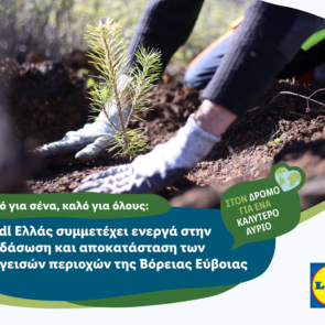 Η Lidl Ελλάς συμμετέχει ενεργά στην αναδάσωση και αποκατάσταση των πληγεισών περιοχών της Βόρειας Εύβοιας