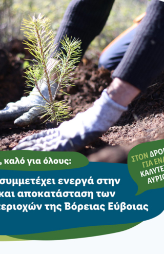 Η Lidl Ελλάς συμμετέχει ενεργά στην αναδάσωση και αποκατάσταση των πληγεισών περιοχών της Βόρειας Εύβοιας