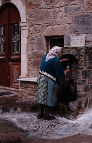 Η παγκόσμια σταρ μαστίχα και οι ποικίλες νέες δράσεις της Mediterra