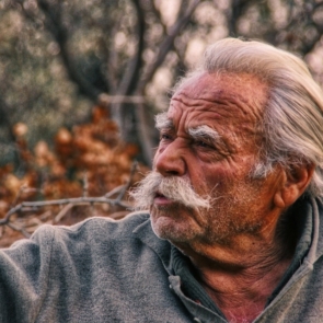 Είναι οι Έλληνες τόσο «τεμπέληδες» όσο κάποιοι ήθελαν να τους παρουσιάζουν;