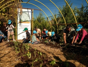 ΔΕΗ και Open Farm προωθούν τη βιώσιμη γεωργία στους μαθητές μέσω του “Carbon Farming Schools”