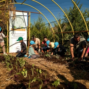 ΔΕΗ και Open Farm προωθούν τη βιώσιμη γεωργία στους μαθητές μέσω του “Carbon Farming Schools”