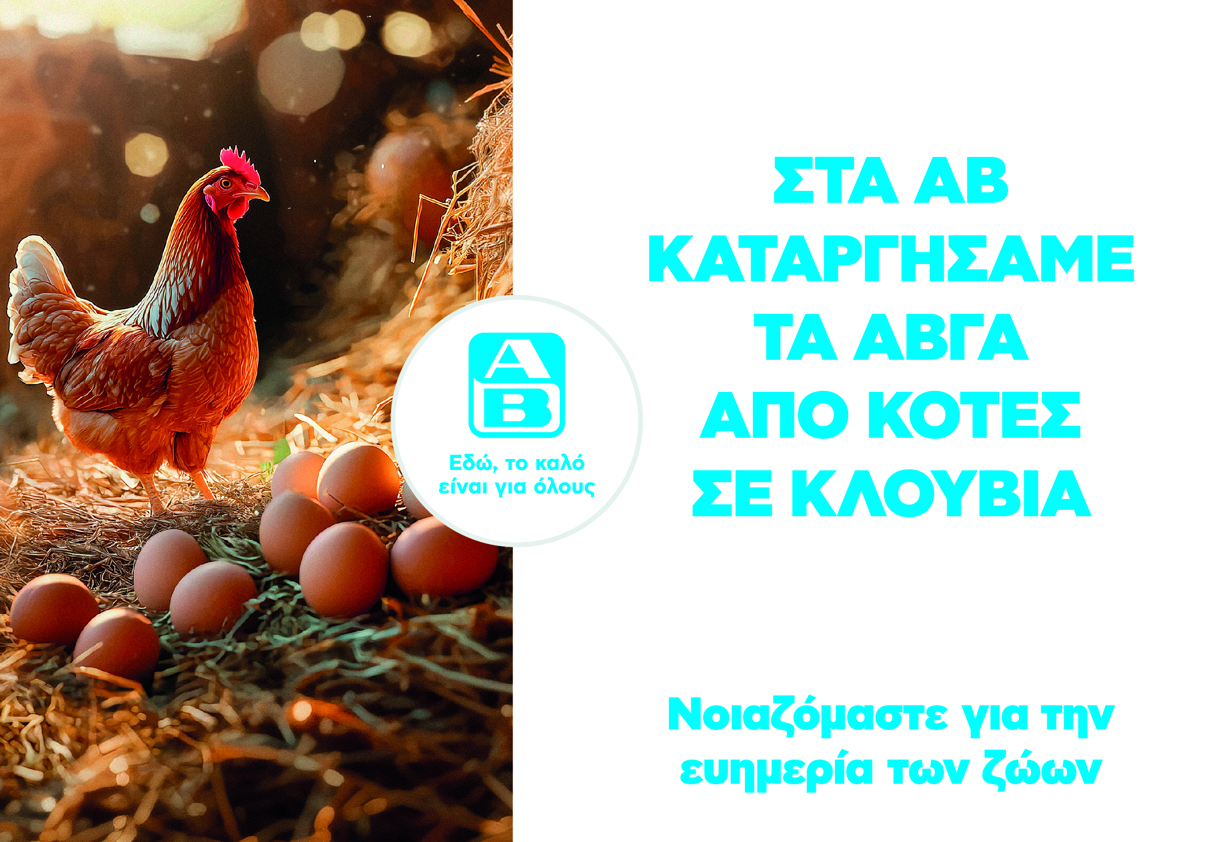 Cage-free αυγά στην ΑΒ Βασιλόπουλος: Η πρώτη ελληνική αλυσίδα σούπερ μάρκετ που καταργεί τα αυγά κλωβοστοιχίας