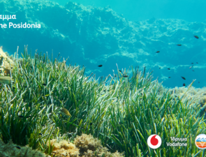 Το Vodafone Posidonia στη διεθνή Έκθεση Mobile World Congress (MWC) 2025