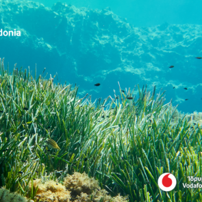 Το Vodafone Posidonia στη διεθνή Έκθεση Mobile World Congress (MWC) 2025