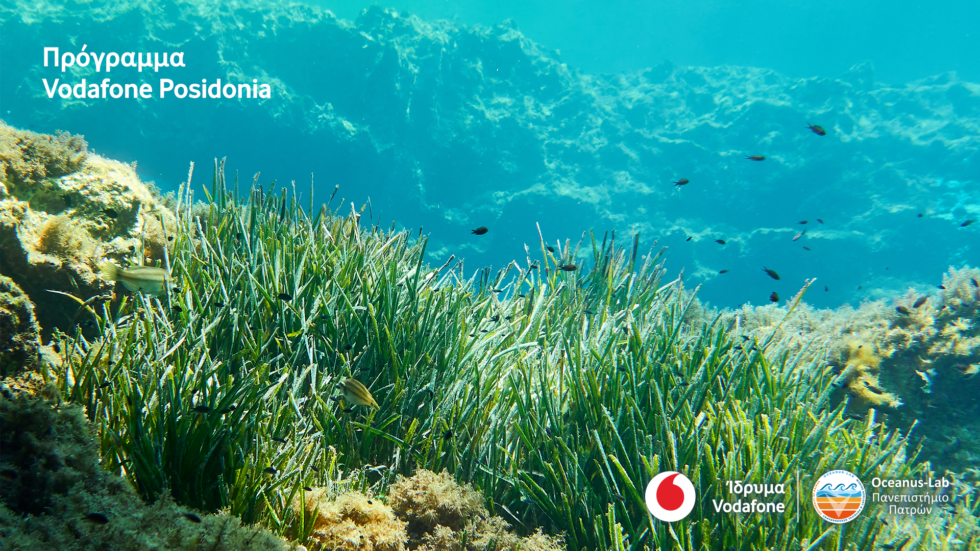 Το Vodafone Posidonia στη διεθνή Έκθεση Mobile World Congress (MWC) 2025