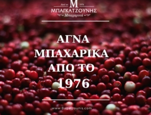 Από την Κοζάνη στον κόσμο, με οδηγό την επιμονή και την καινοτομία