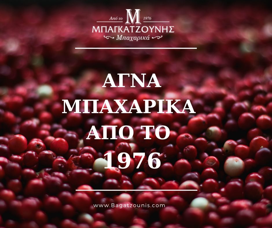 Από την Κοζάνη στον κόσμο, με οδηγό την επιμονή και την καινοτομία